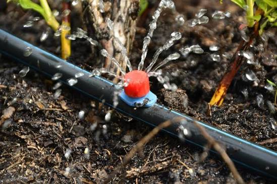 Drip System